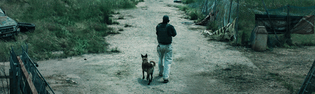 The Dog Stars